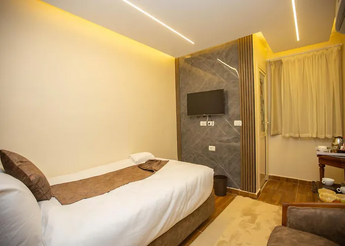 Habitación Individual Deluxe